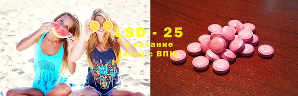 ПСИЛОЦИБИНОВЫЕ ГРИБЫ Туринск